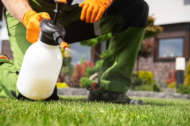 Best Residential Pest Control  in Edgewood, WA