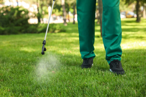 Best Bed Bug Extermination  in Edgewood, WA