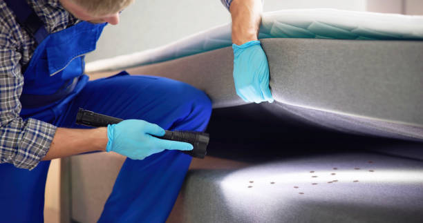 Best Pest Control Near Me  in Edgewood, WA